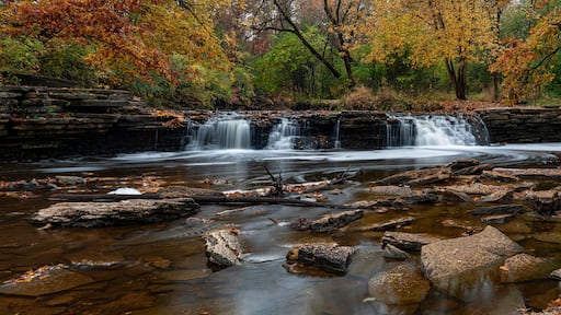 709-45 Sawmill Creek Autumn