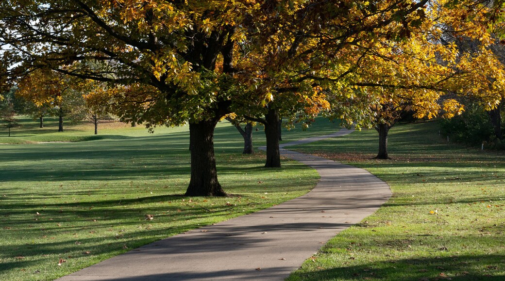 재스퍼 시티 파크