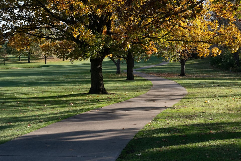 Uma trilha sinuosa em um parque com árvores exibindo folhagem de outono.
