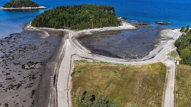 An aerial view of a coastal area with a forested island, a sandy beach, and a clear blue sea.