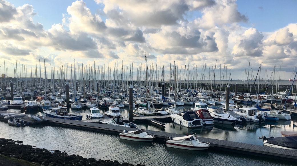 Harbour in Breskens. A bit of traffic!!!