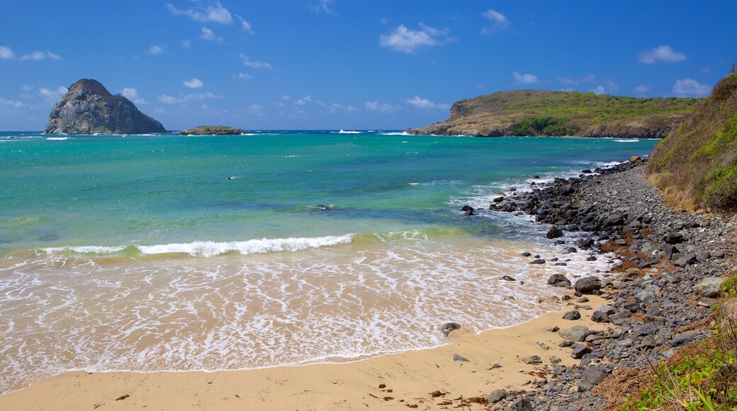 Sueste-stranden som viser bølger, kyst og fjell