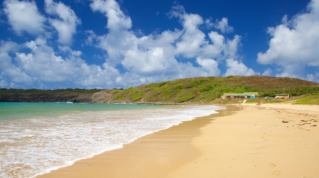 Plage de Sueste mettant en vedette vues littorales et plage