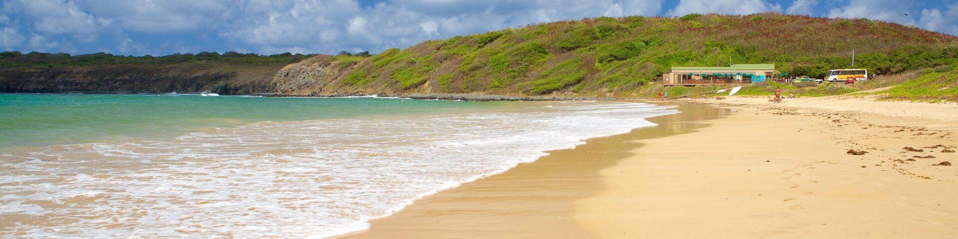 A beach with clear turquoise water, a sandy shore, and a hill with vegetation in the background.