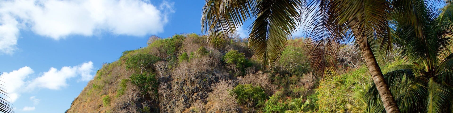 Cachorro Beach featuring a luxury hotel or resort, a sandy beach and general coastal views