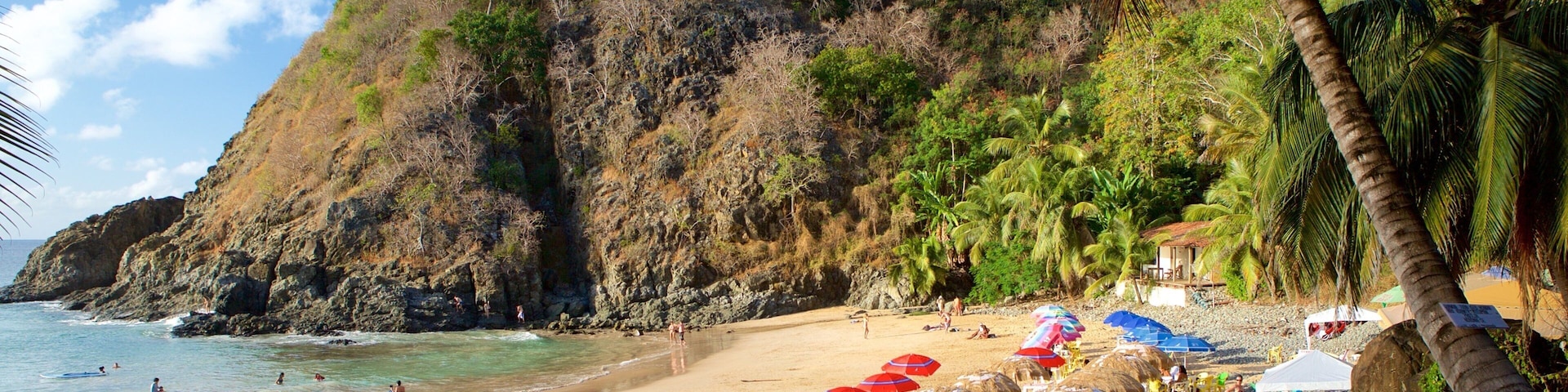 Praia do Cachorro mostrando um hotel de luxo ou resort, paisagens litorâneas e uma praia de areia