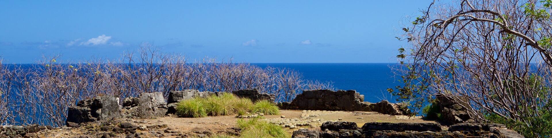 Sao Pedro do Boldro Fort showing general coastal views, a ruin and heritage elements
