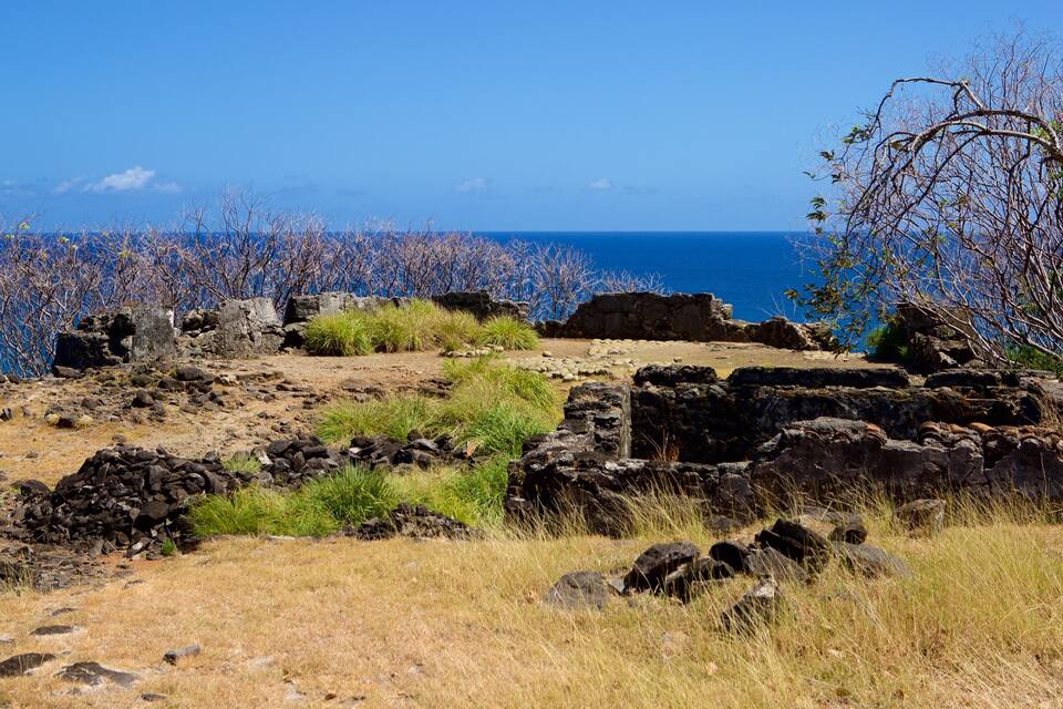 A rocky landscape with sparse vegetation and a clear view of the ocean.
