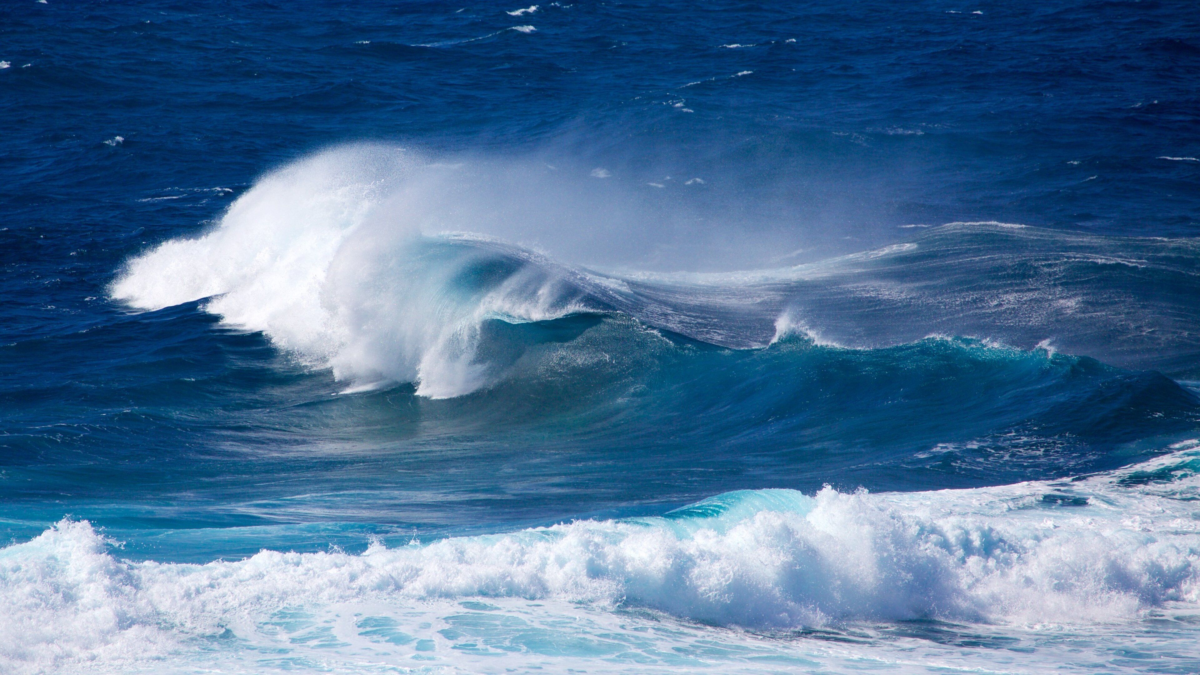 Caracas Point featuring surf and general coastal views