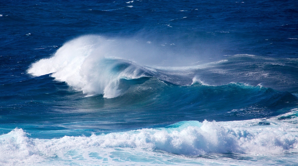 Caracas Point featuring surf and general coastal views