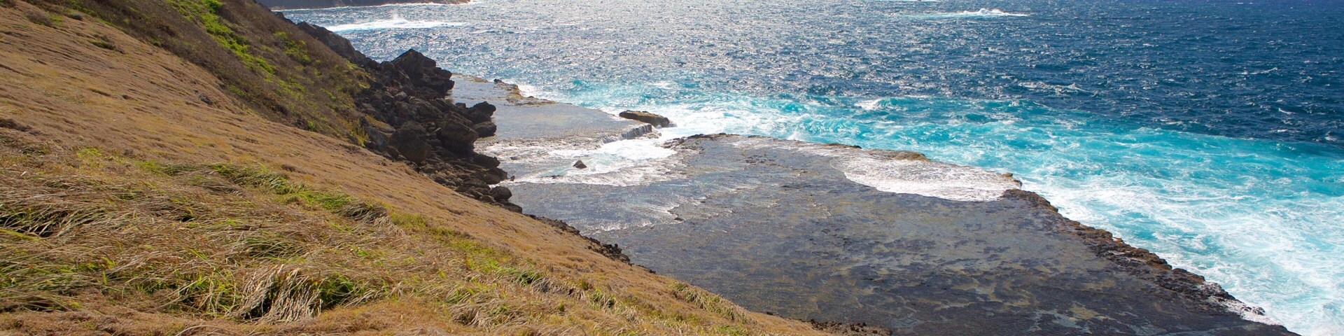 Caracas Point showing mountains, rocky coastline and general coastal views