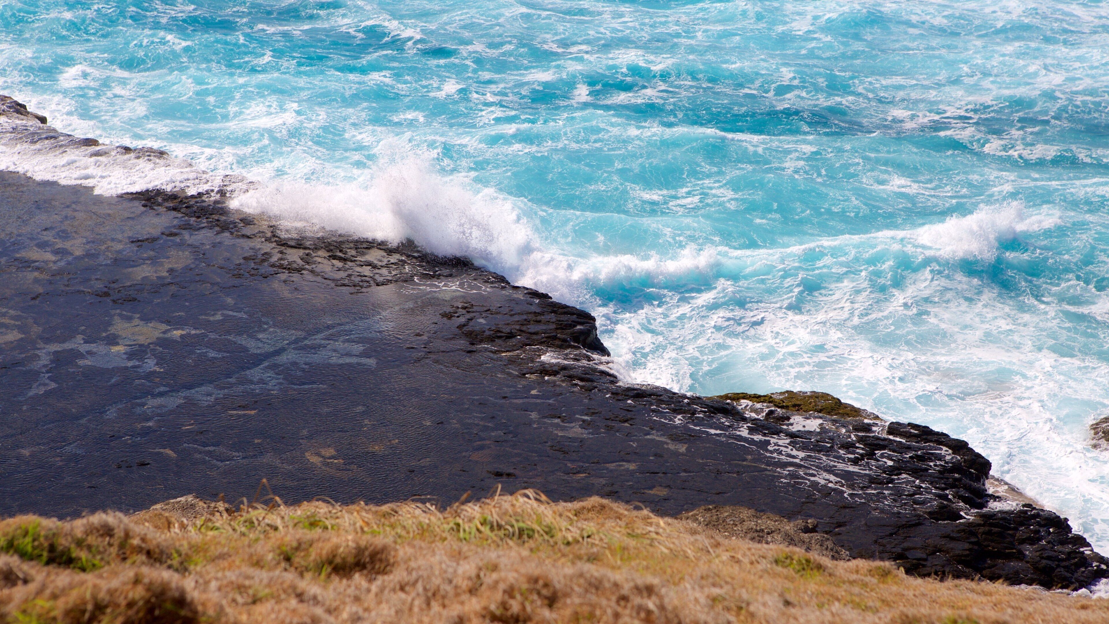 Caracas Point showing general coastal views, rugged coastline and waves