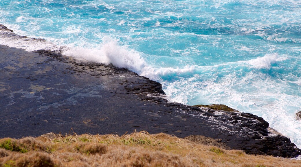 Reservas de Fernando de Noronha y Atol das Rocas