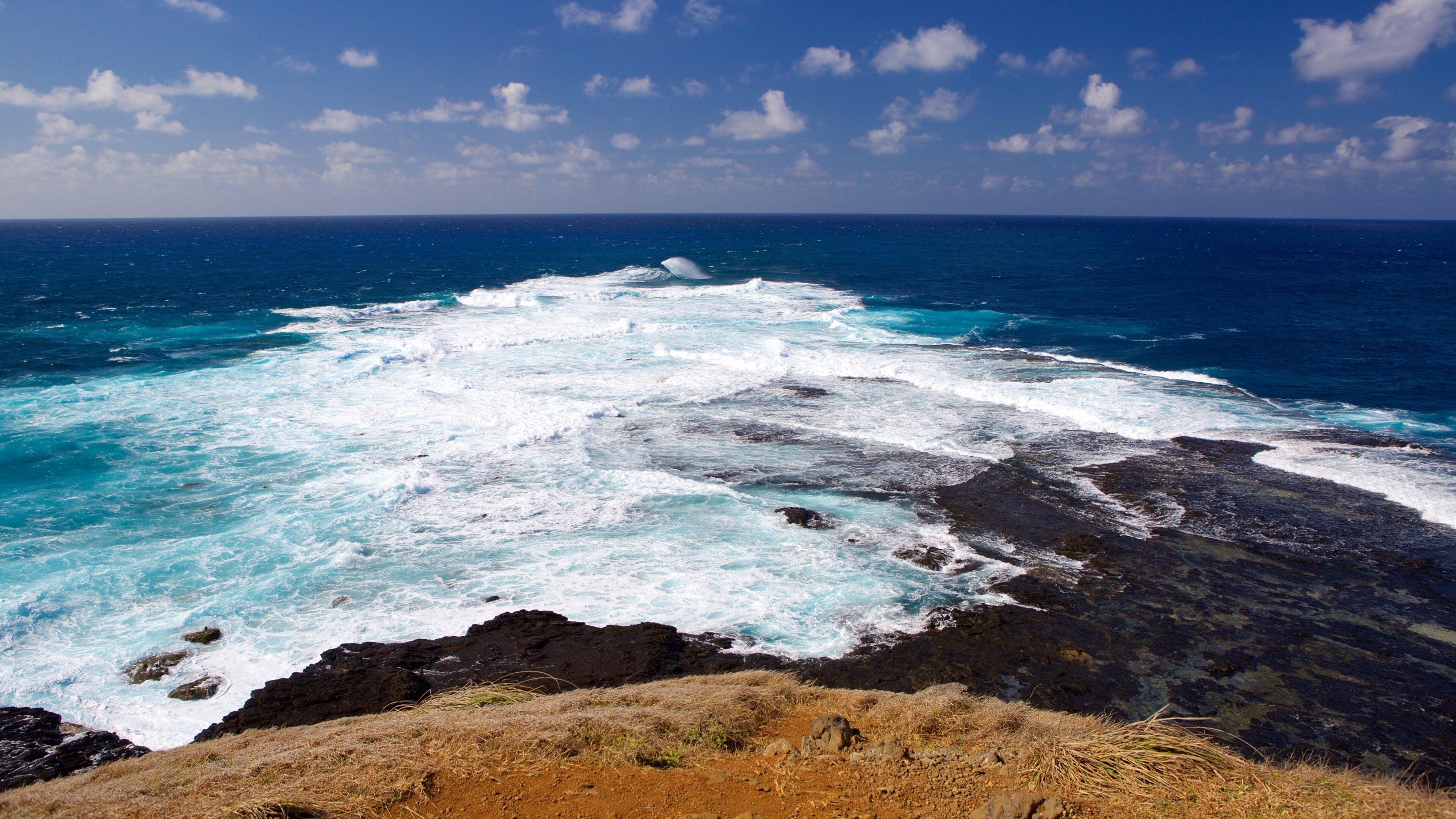 Caracas Point featuring rugged coastline, general coastal views and waves