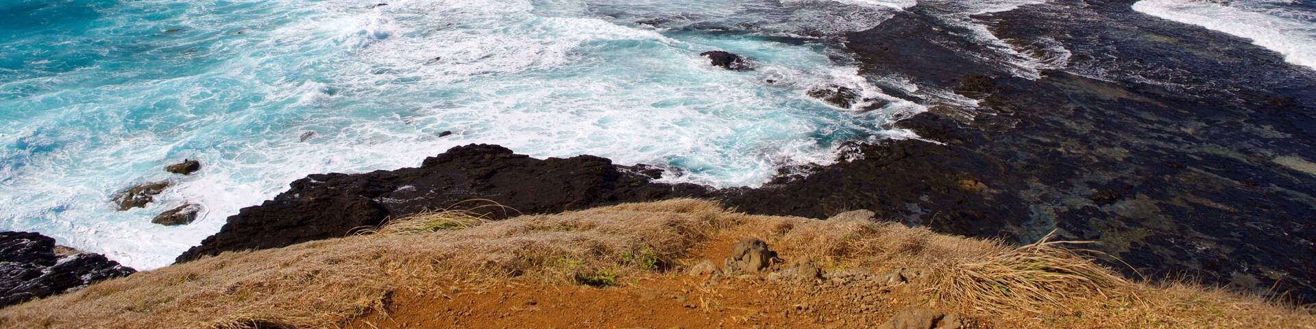 Caracas Point featuring rugged coastline, general coastal views and waves