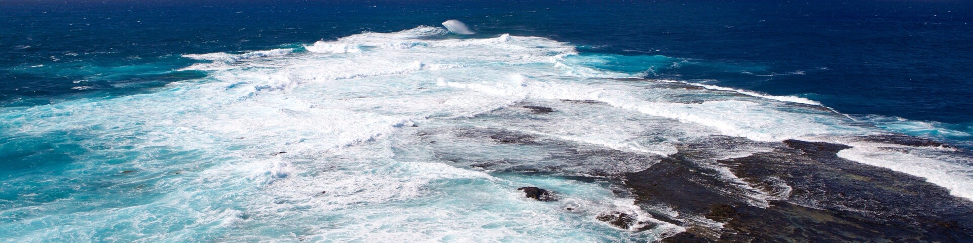 Caracas Point featuring rugged coastline, general coastal views and waves