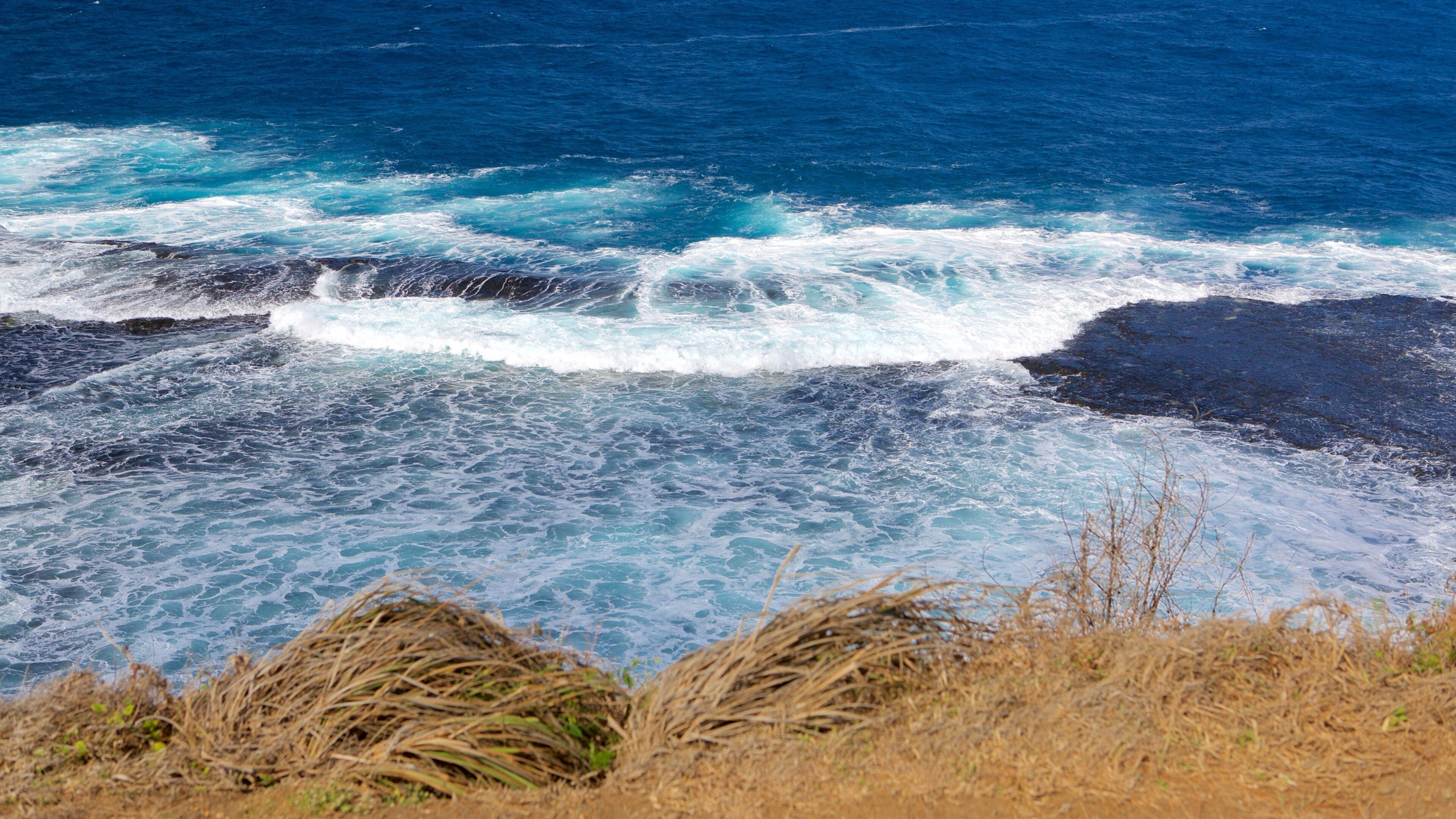 Caraiva mostrando costa escarpada, vistas generales de la costa y olas