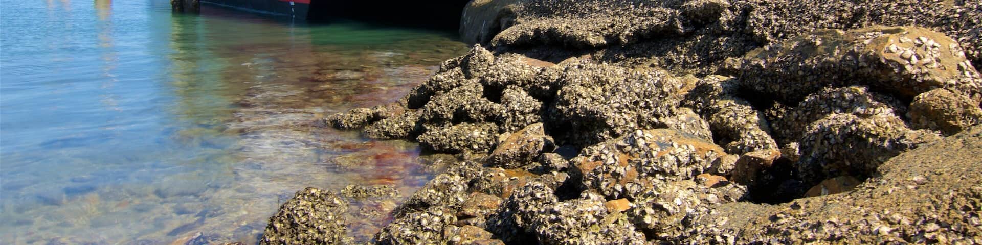 Dunwich Ferry Terminal