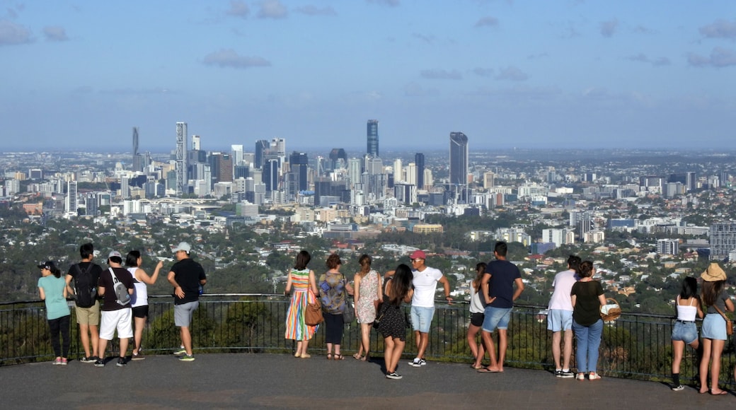 Brisbane City Landscape