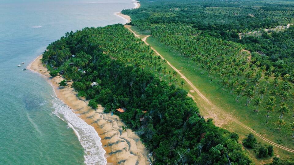 An aerial view of a coastal area with a sandy beach, dense green forest, and a clear path through the trees.
