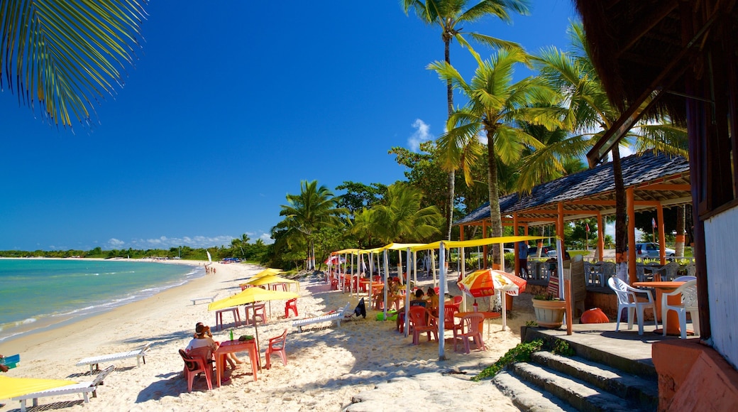 Spiaggia di Muta mostrando vista della costa, mangiare all\'aperto e paesaggio tropicale