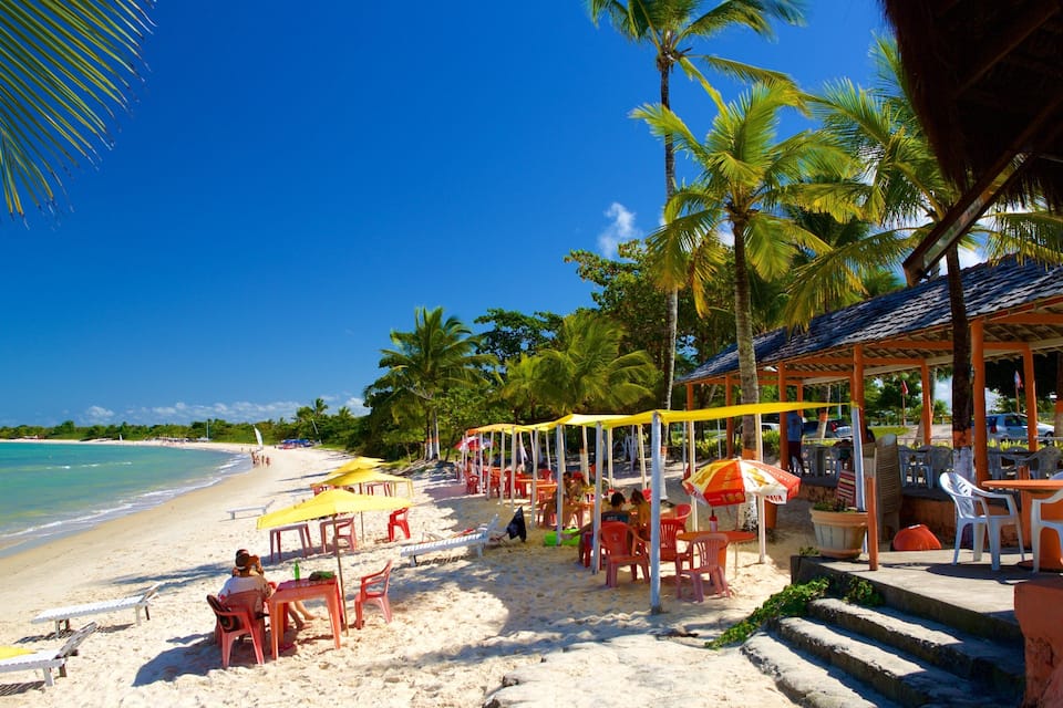 Une plage bordée de palmiers, avec des chaises de plage et des parasols.