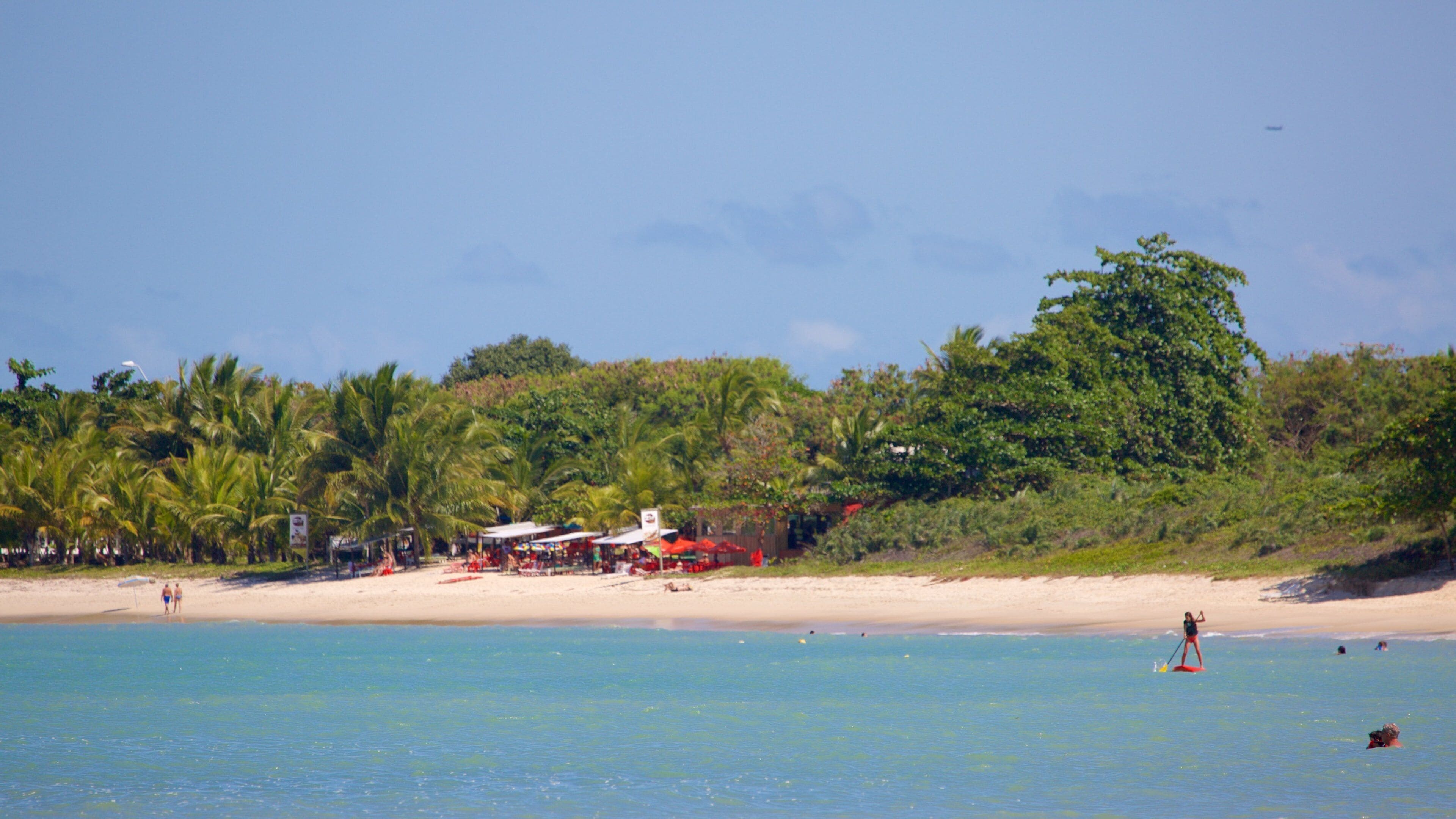 Ein Strand mit klarem, blauem Wasser, Palmen und einigen Personen.