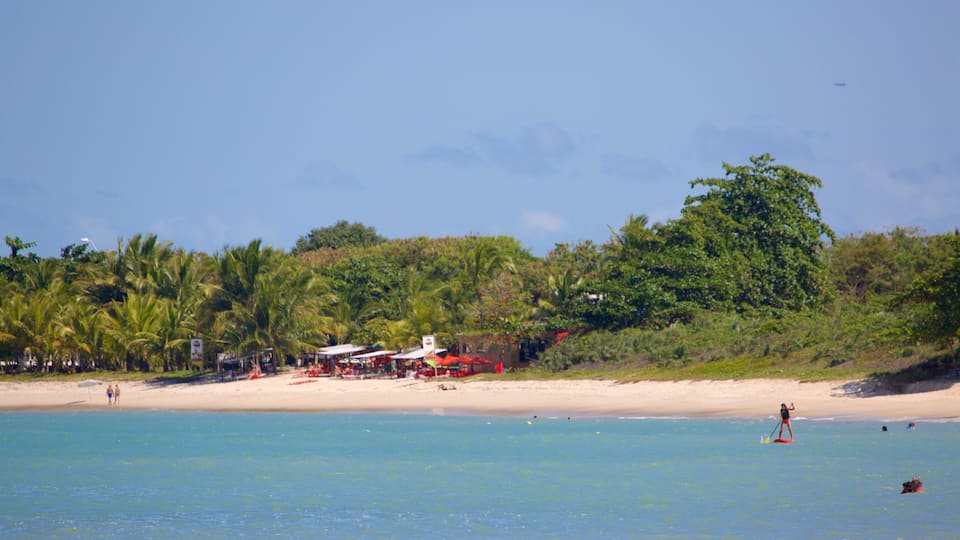 A beach with clear blue water, palm trees, and a few people.