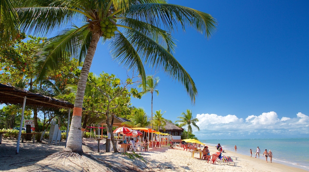 Spiaggia di Muta caratteristiche di vista della costa, spiaggia e paesaggio tropicale