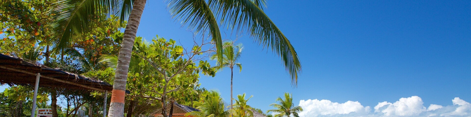 Muta Beach which includes general coastal views, a beach and tropical scenes