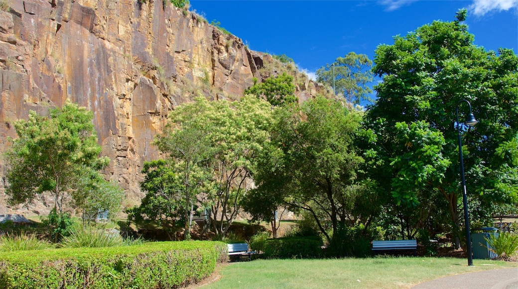 Kangaroo Point Cliffs caratteristiche di parco