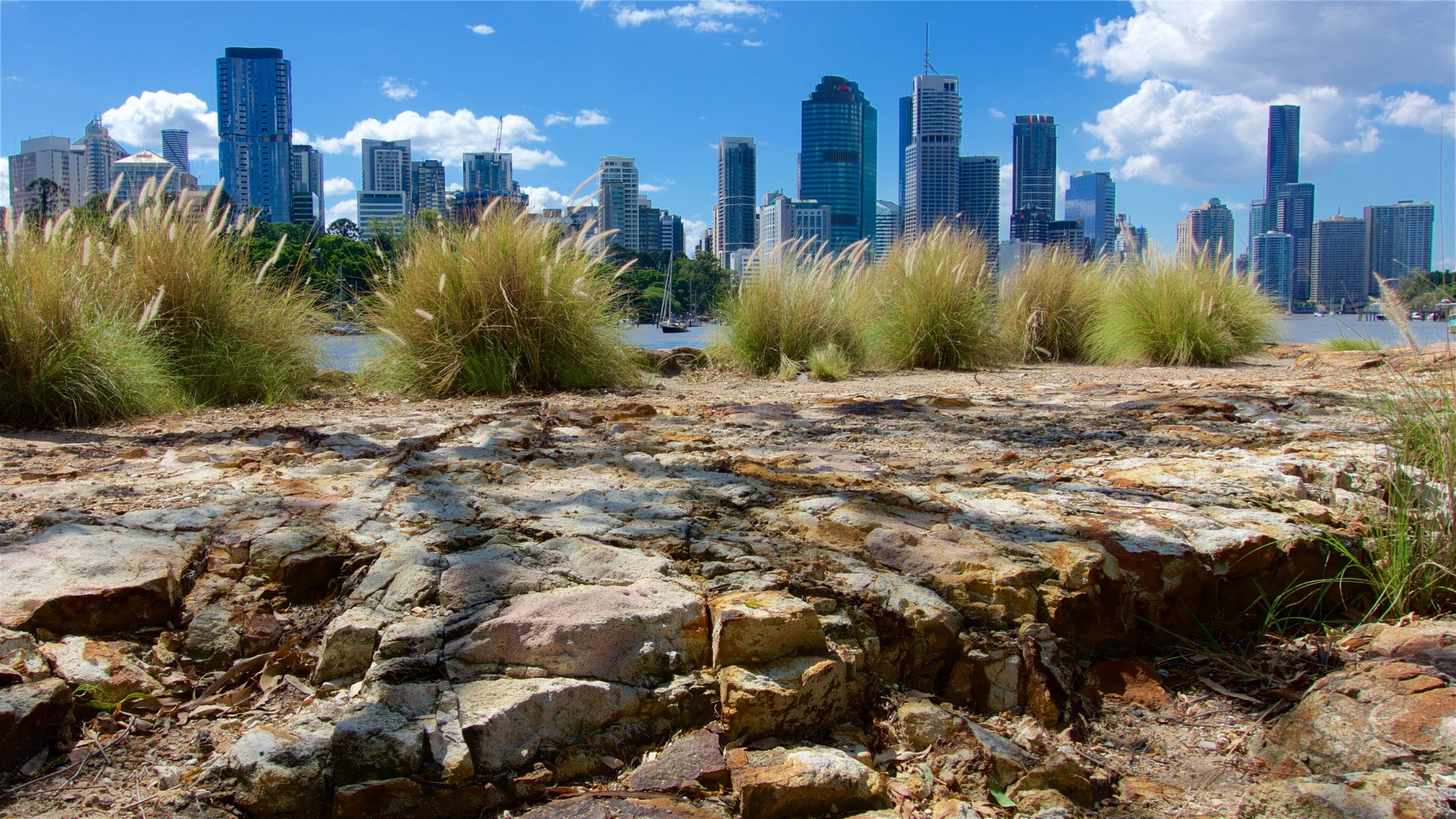 Falaises de Kangaroo Point mettant en vedette une ville et un gratte-ciel