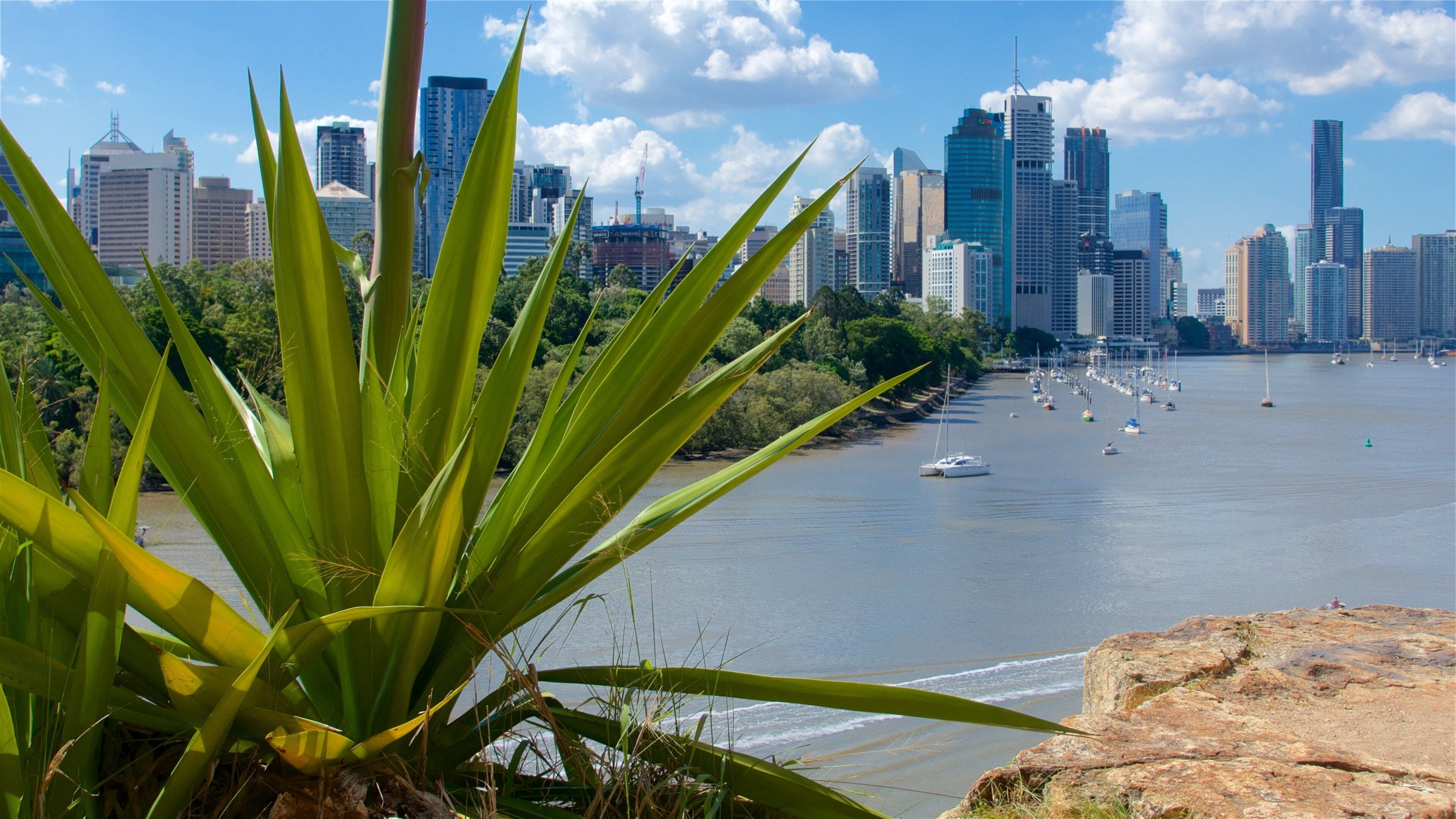 Falaises de Kangaroo Point mettant en vedette rivière ou ruisseau, baie ou port et ville