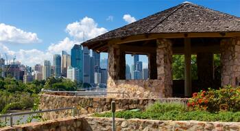 Acantilados de Kangaroo Point mostrando una ciudad y un parque