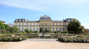 Poppelsdofer Schloss in Bonn