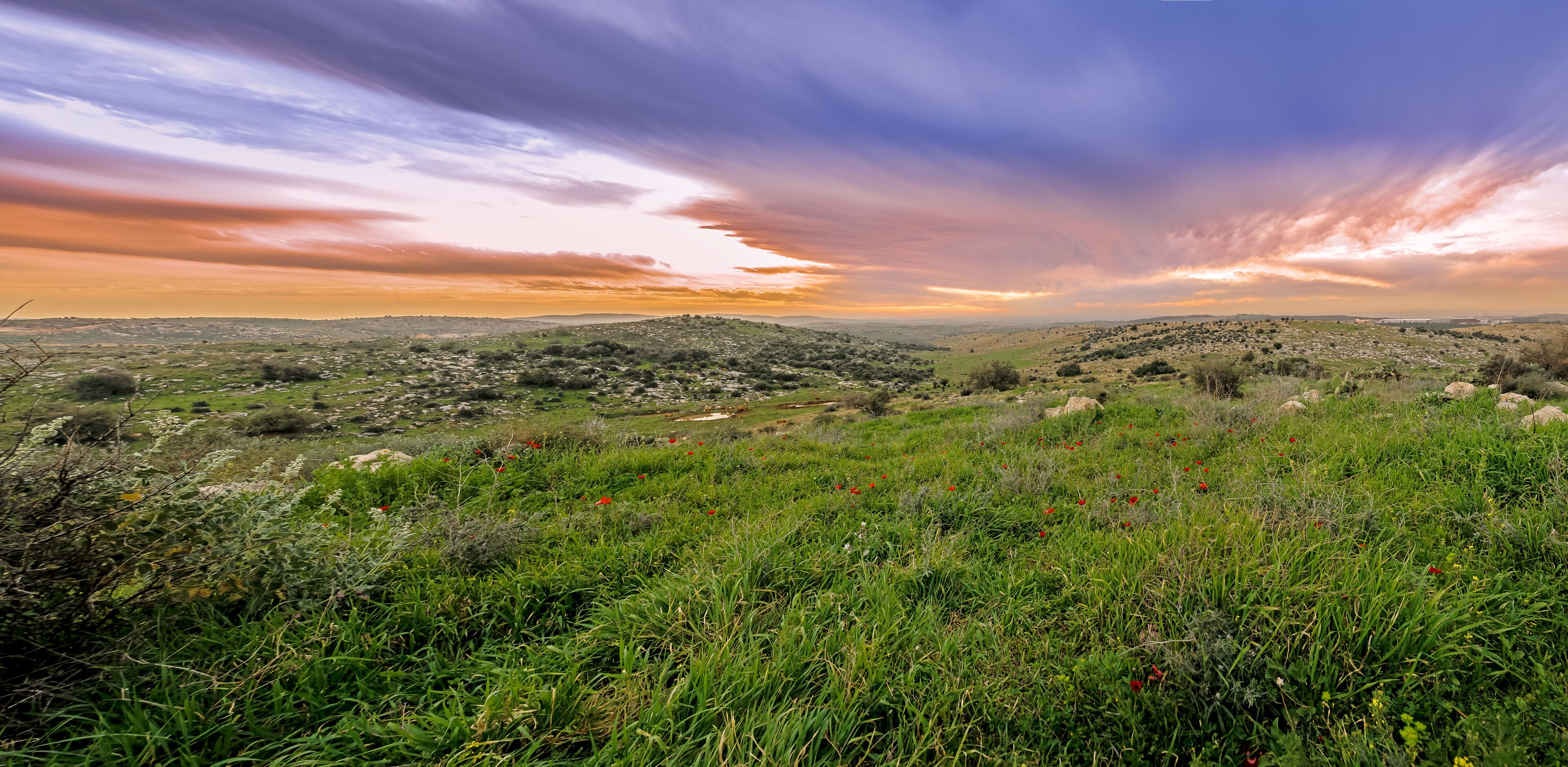 莫迪因馬加比勒特