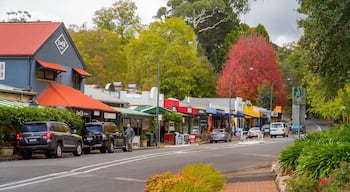Aldgate featuring a small town or village