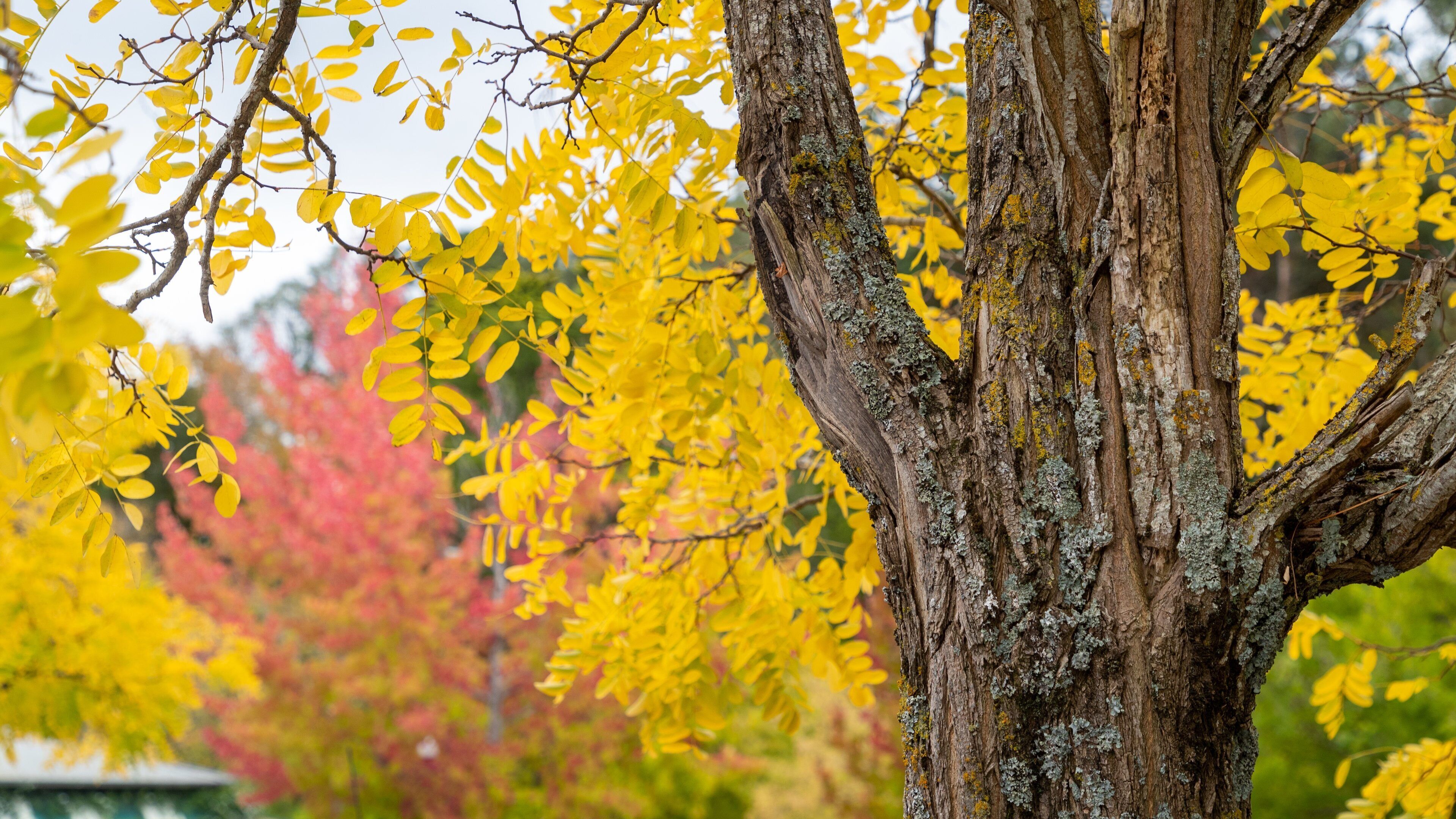 Aldgate featuring a park