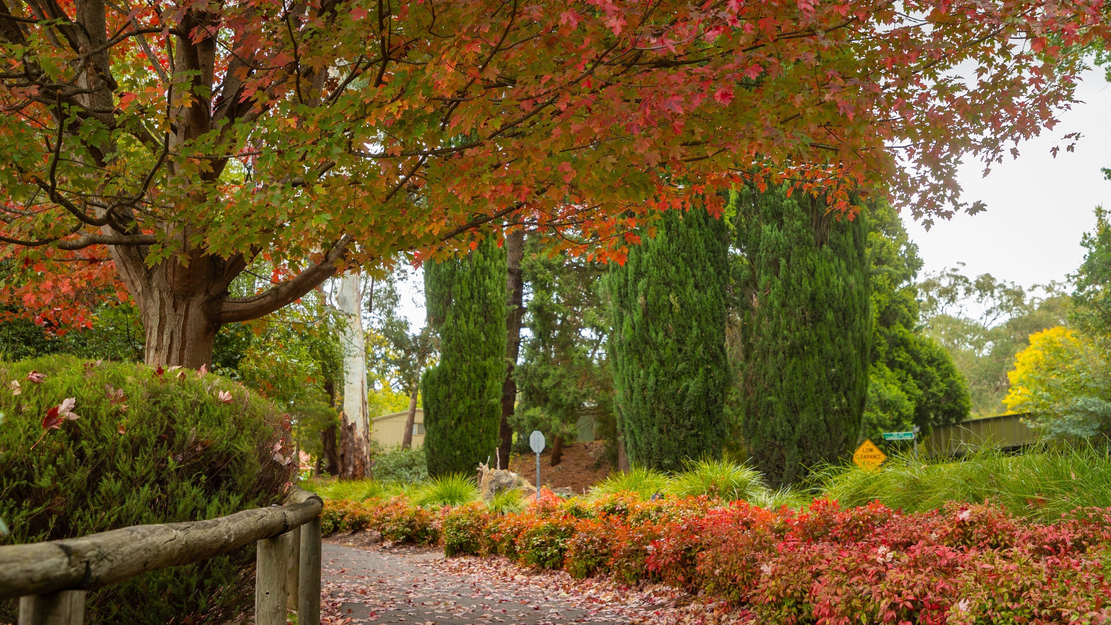 Aldgate which includes a garden and wildflowers