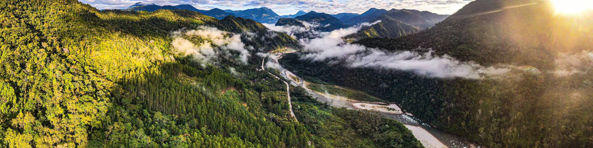 jungle panorama aerial view: selva central of peru close to la merced