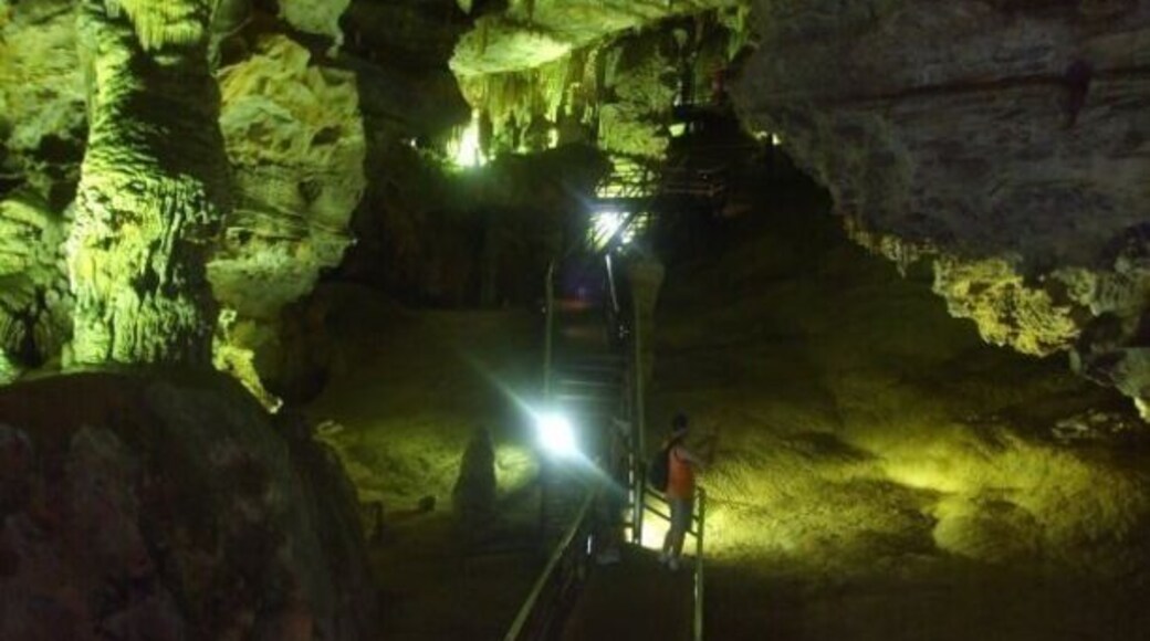 King of the forest cave.