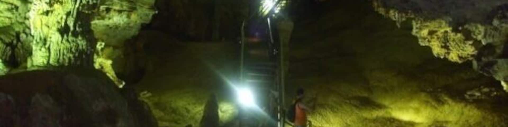 King of the forest cave.