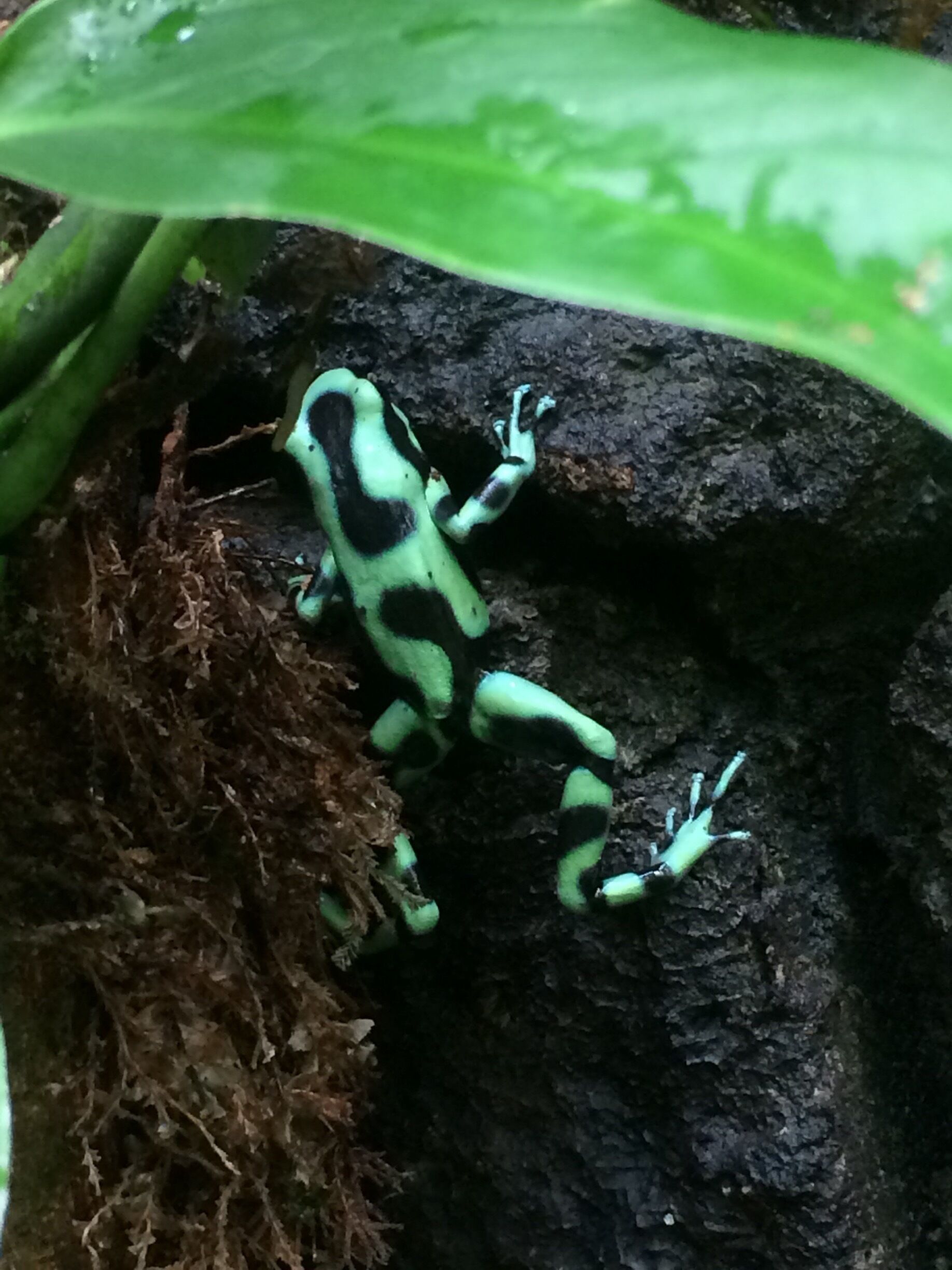 This place was amazing. Lots to see