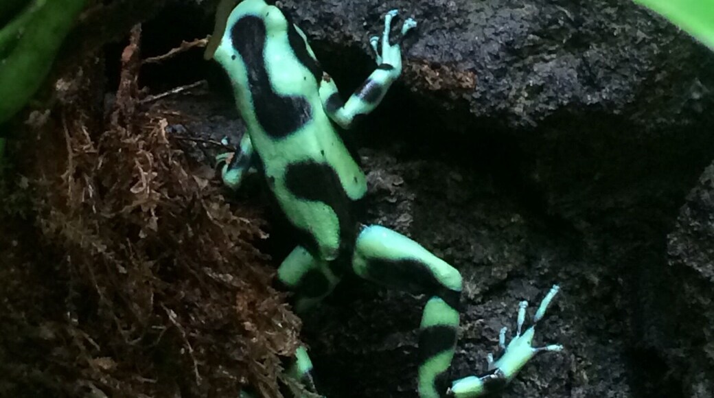 This place was amazing. Lots to see