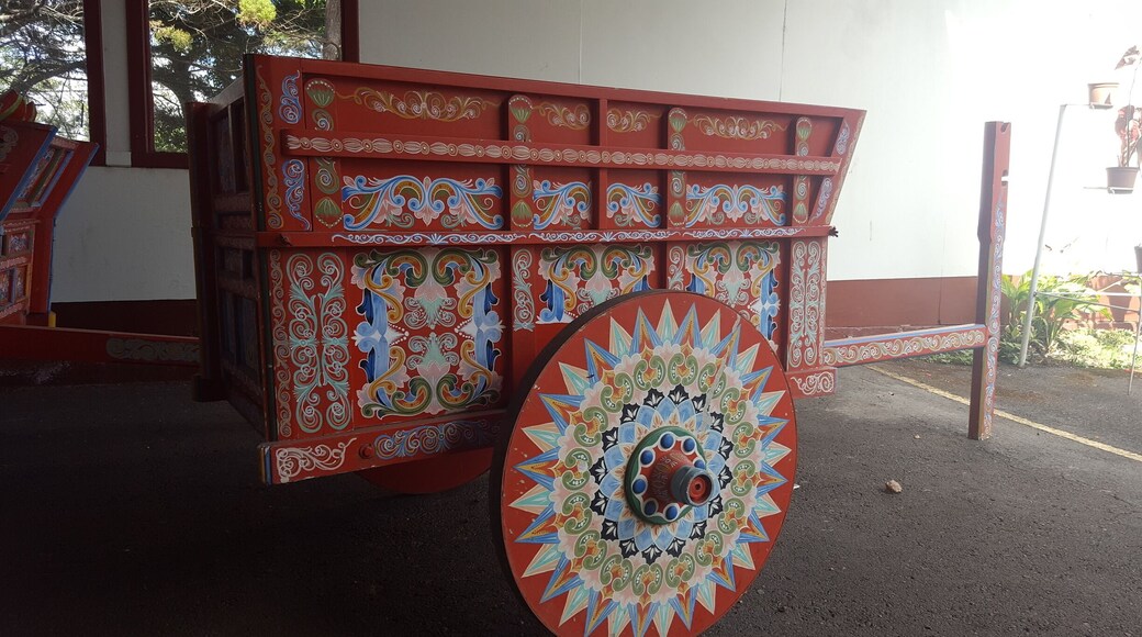 Traditional Costa Rican cart --the colors & patterns are so unique! #patterns