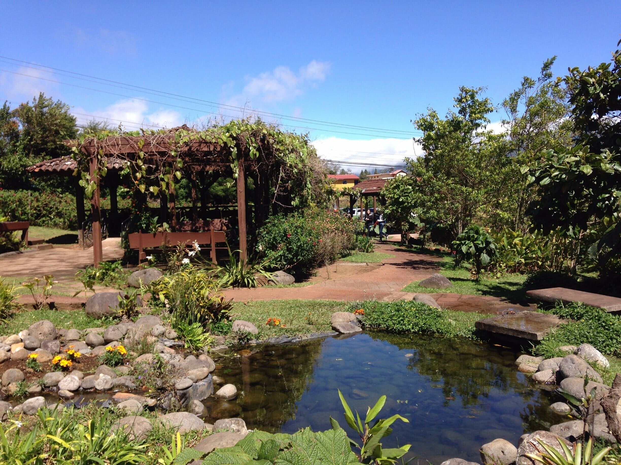 A garden with a pond, rocks, and a pergola covered in vines.