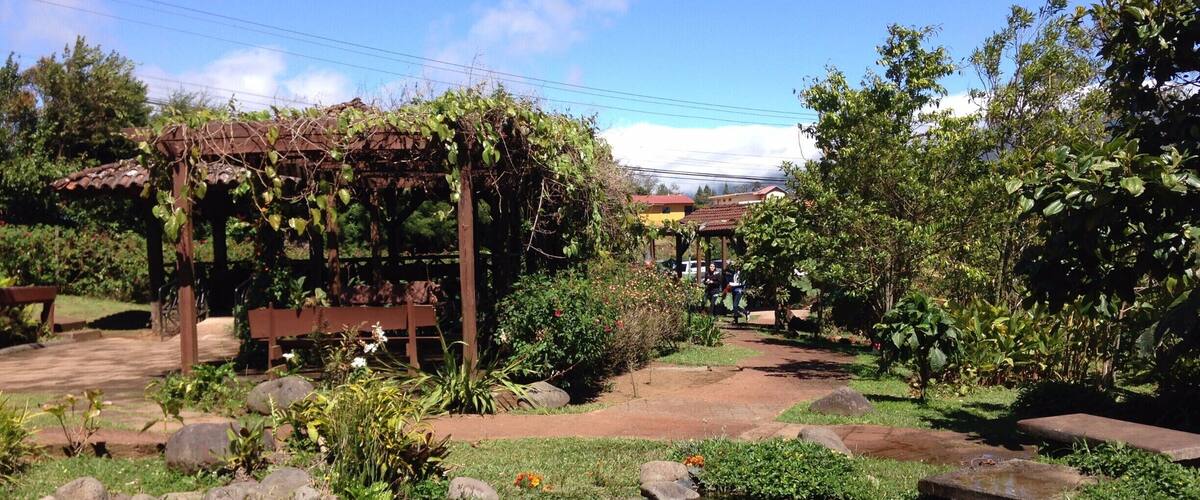A garden with a pond, rocks, and a pergola covered in vines.