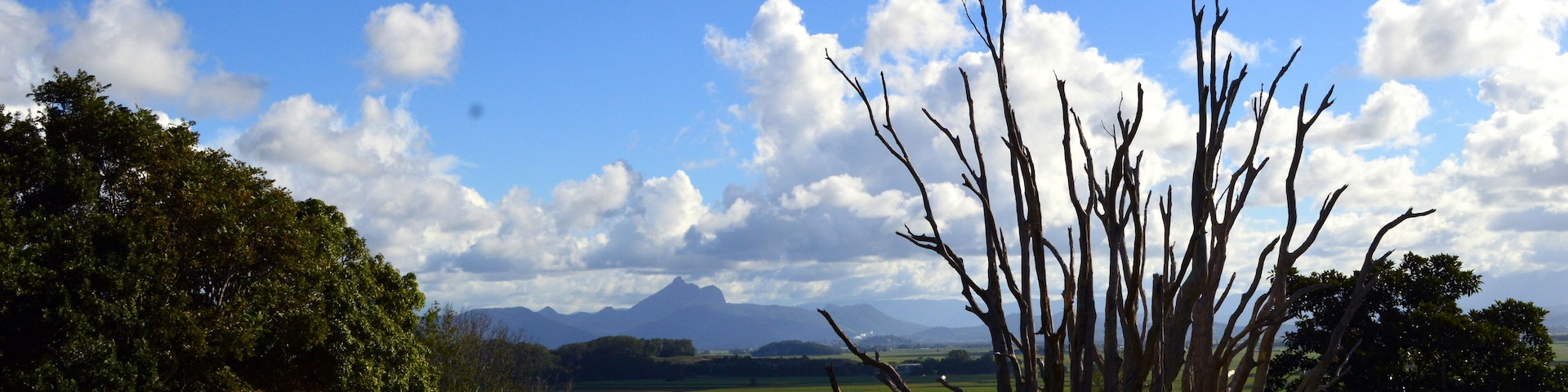 A view from Tropical Fruit World.  In the distance if Mount Warning.  The volcano who flattened these plain and left this rich soil which grows some of the most exquisite fruits for exportation and local sales.