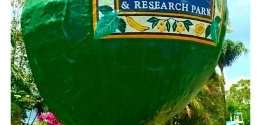 You'll see, taste and learn about tropical fruit from around the world that they grow right there.