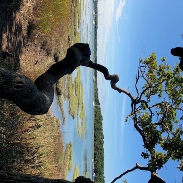 If you go to the New Forest I would really recommend Exbury Gardens. This peaceful spot is over looking the Beaulieu River #Trovember